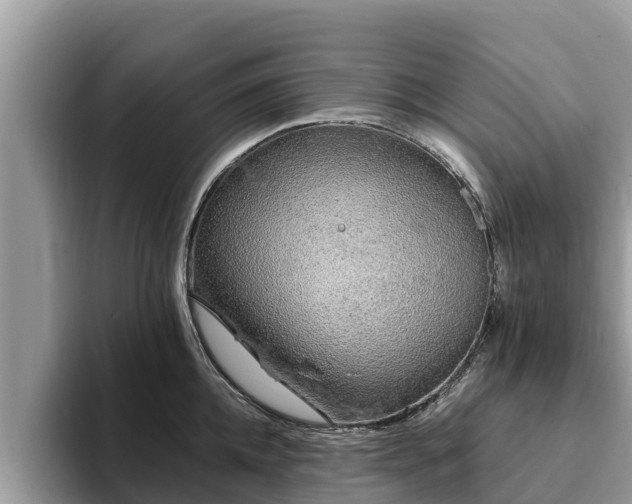 X0000093410952200710190942