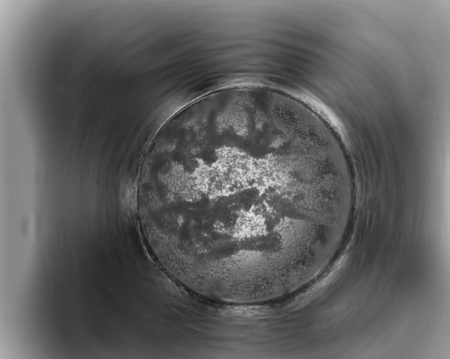 X0000093410953200710190942