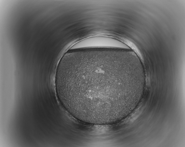 X0000093410954200710190942