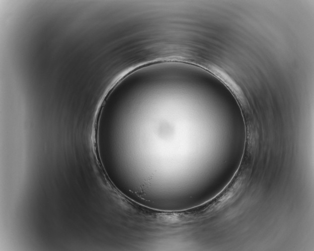 X0000093410956200710190942