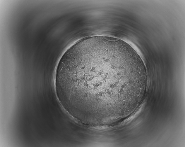 X0000093410957200710190942