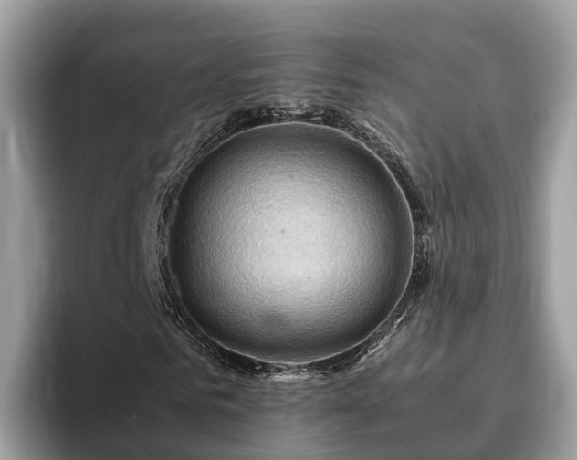 X0000093410961200710190942