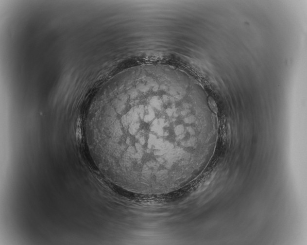 X0000093410962200710190942