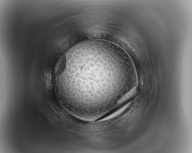 X0000093410964200710190942