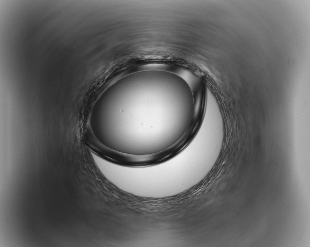 X0000093410965200710190942