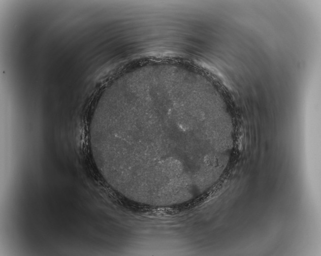 X0000093410966200710190942