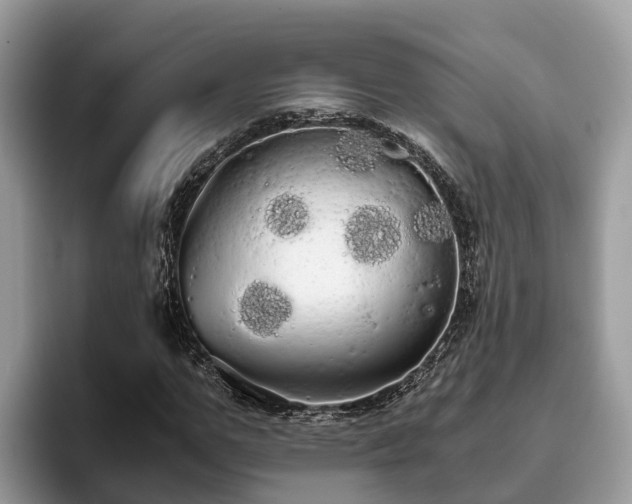 X0000093410967200710190942