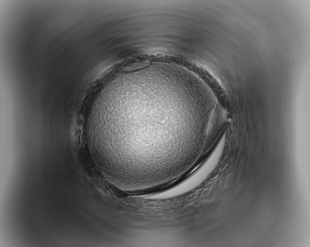 X0000093410968200710190941