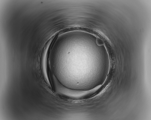 X0000093410969200710190941