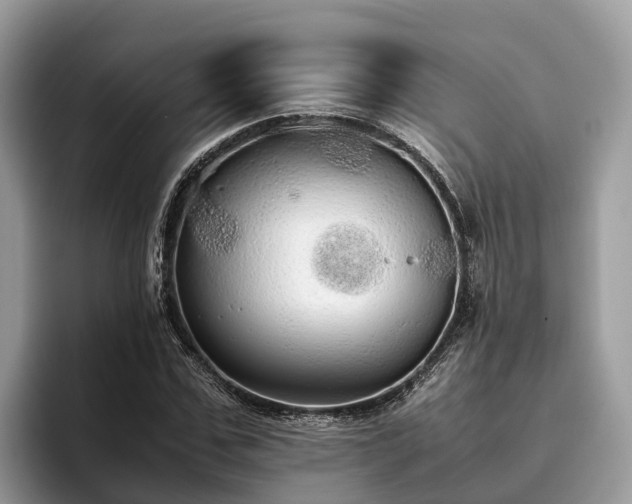 X0000093410971200710190941