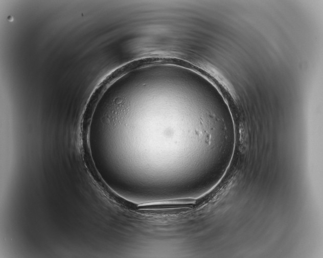 X0000093410972200710190941