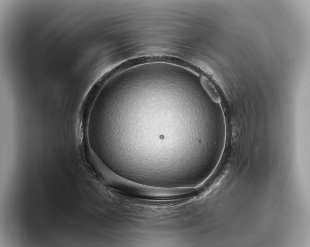 X0000093410973200710190941