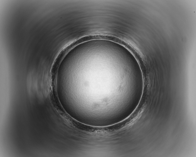 X0000093410974200710190941