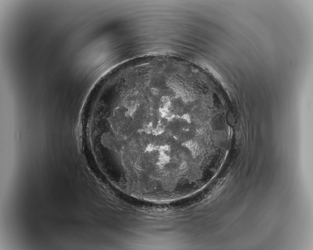 X0000093410975200710190941