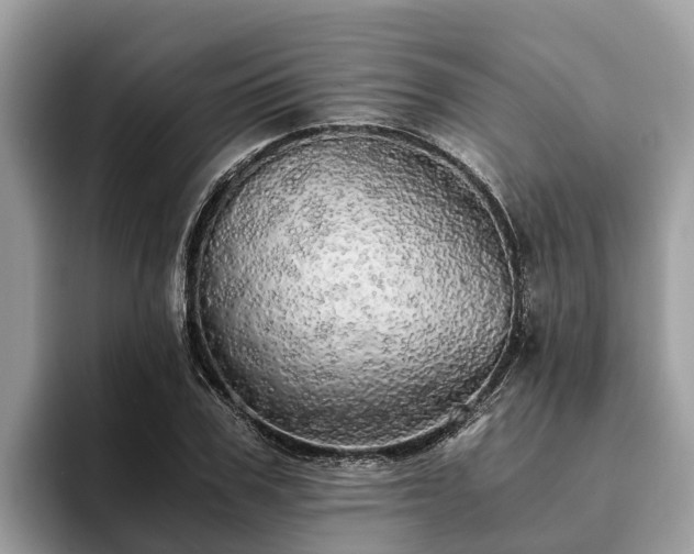 X0000093410979200710190941