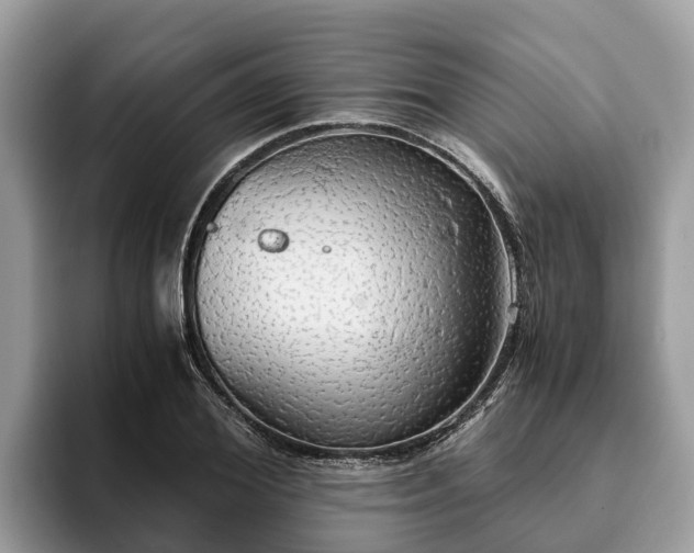 X0000093410980200710190941