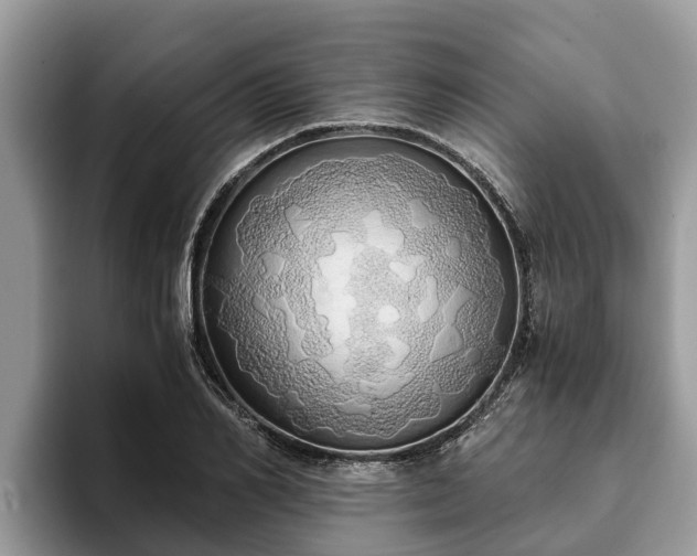 X0000093410982200710190941