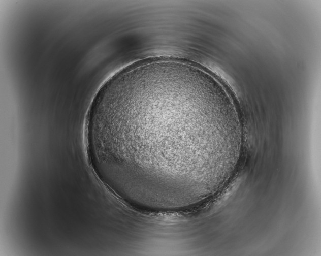 X0000093410983200710190941