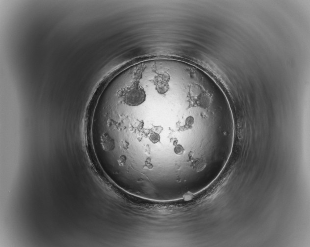 X0000093410987200710190941