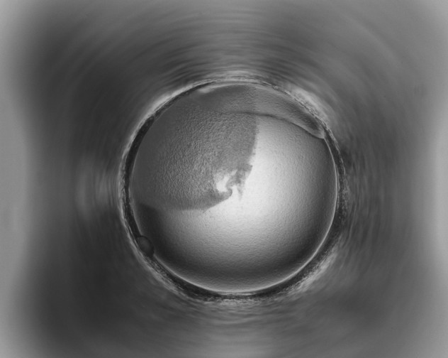 X0000093410989200710190941