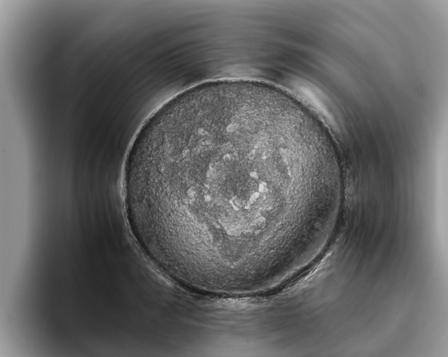 X0000093410990200710190941