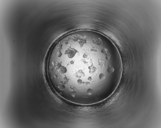 X0000093410991200710190941