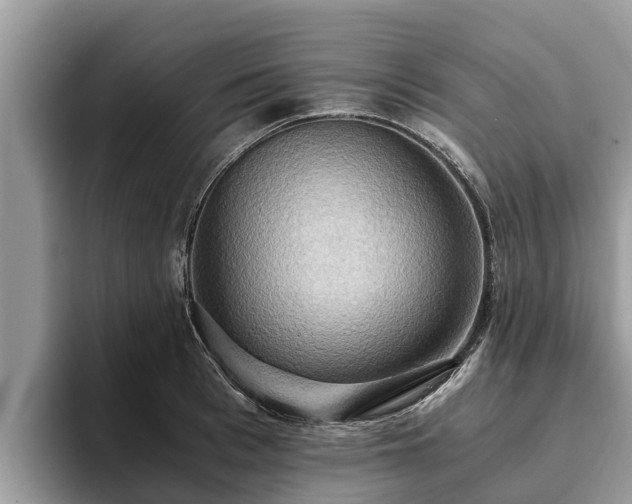 X0000093410993200710190941