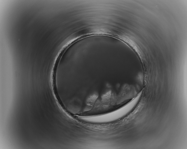 X0000093410995200710190941