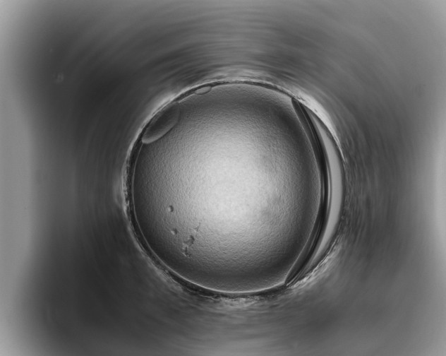 X0000093410997200710190941