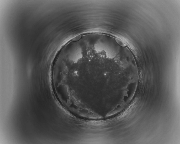 X0000093410998200710190941