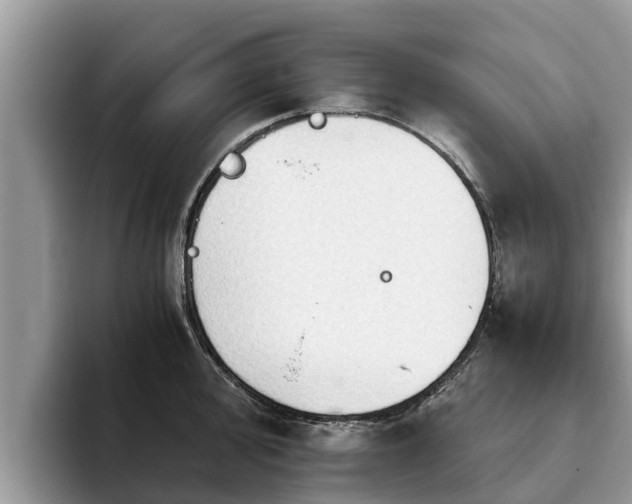 X0000093411000200710190941