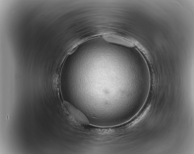 X0000093411001200710190941