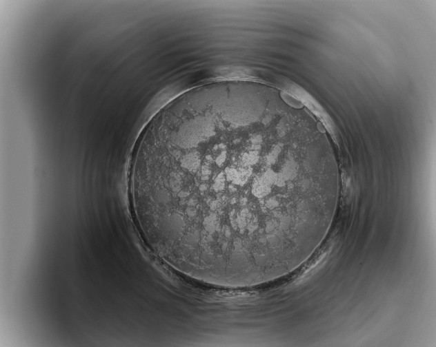 X0000093411002200710190941