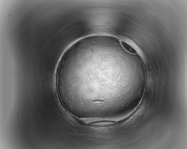 X0000093411004200710190941