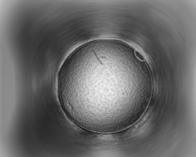 X0000093411006200710190941