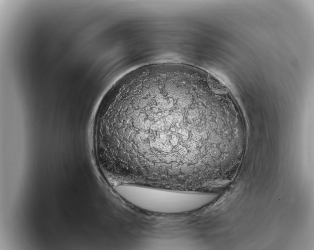 X0000093411008200710190941