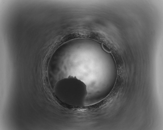 X0000093411009200710190940