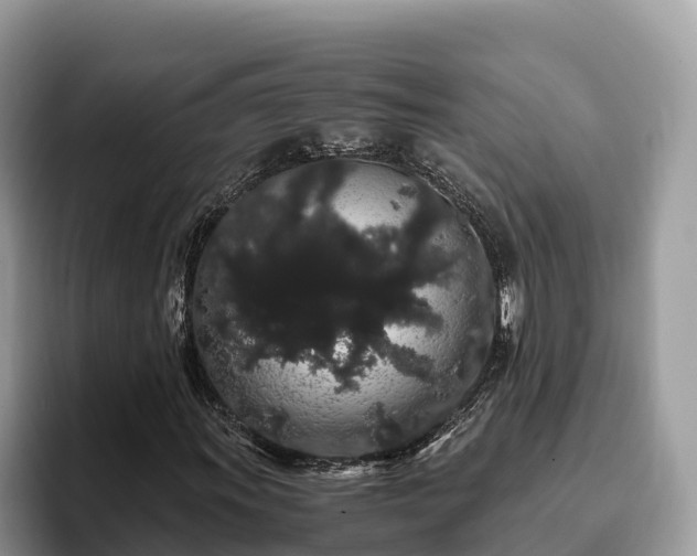 X0000093411011200710190940