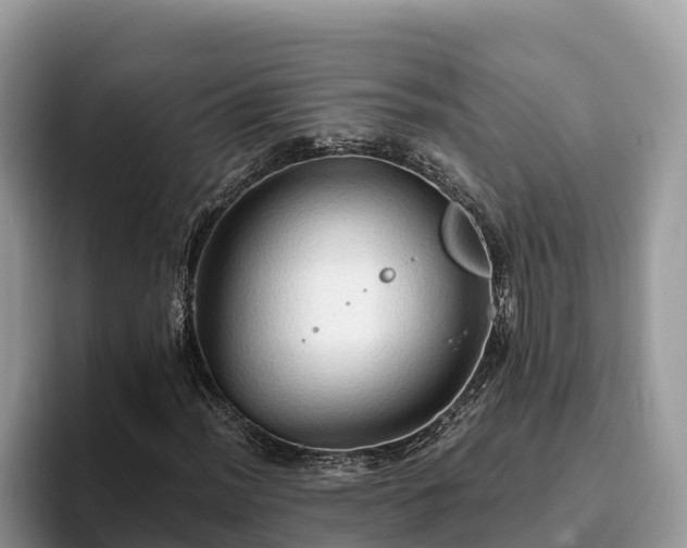 X0000093411012200710190940