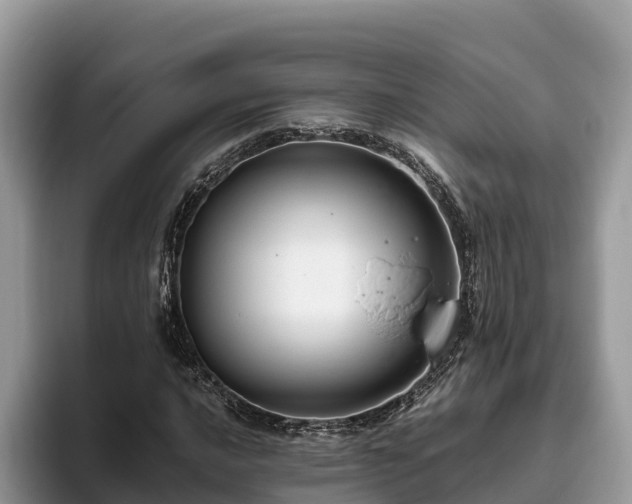 X0000093411016200710190940