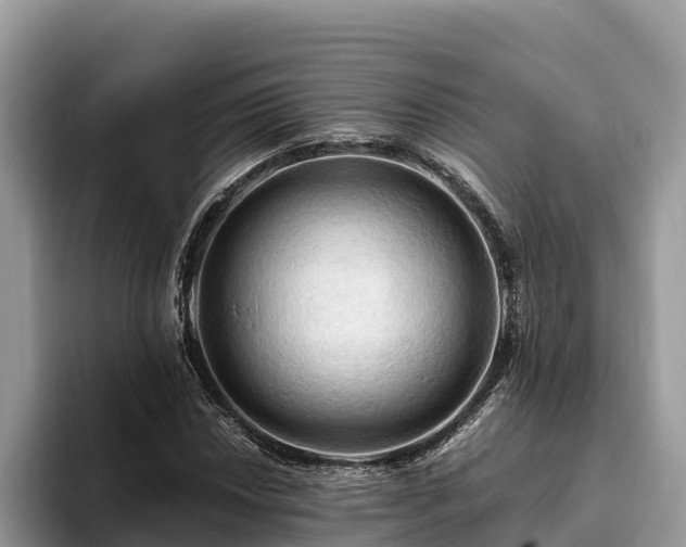 X0000093411018200710190940