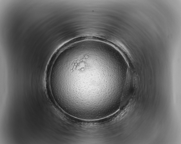 X0000093411020200710190940