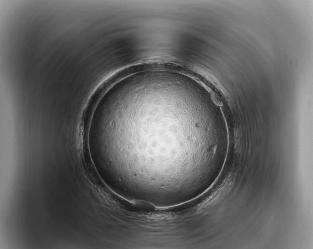 X0000093411021200710190940