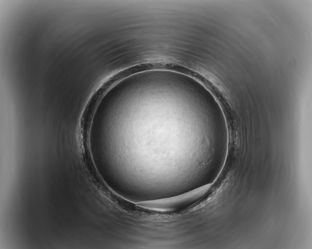 X0000093411022200710190941