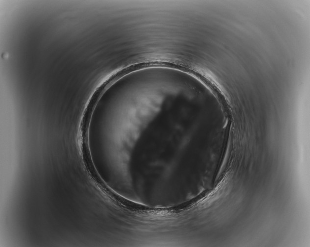 X0000093411024200710190941