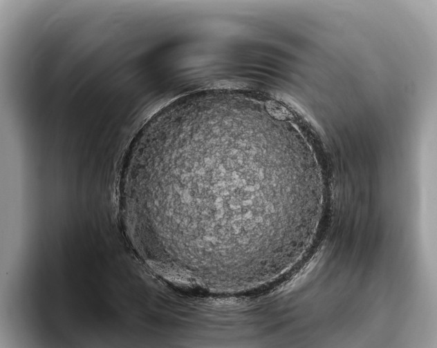 X0000093411025200710190941