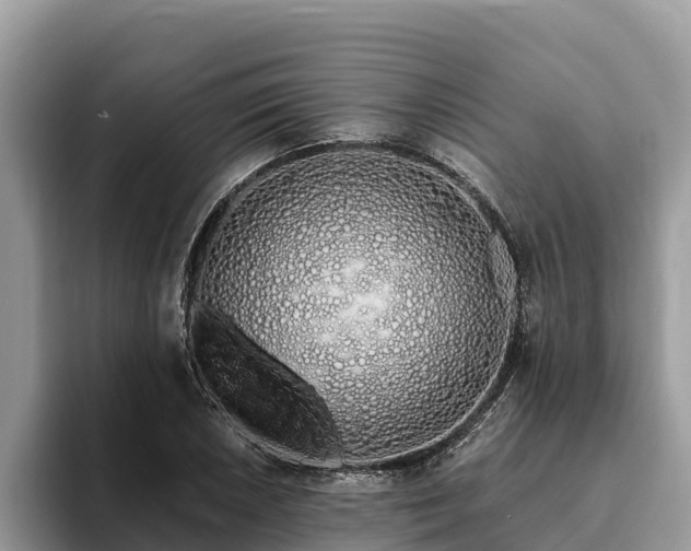 X0000093411026200710190941