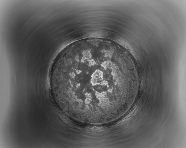 X0000093411027200710190941