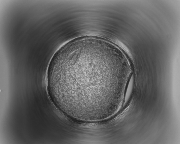 X0000093411028200710190941