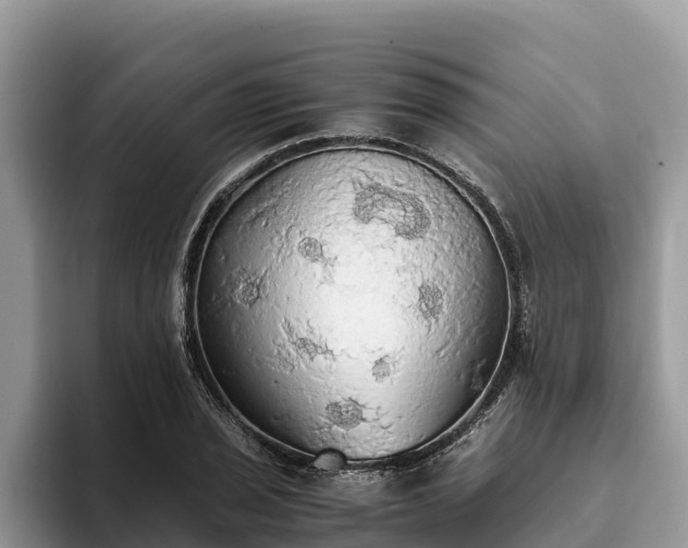 X0000093411029200710190941